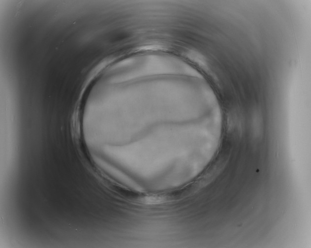 X0000103251274200809181557