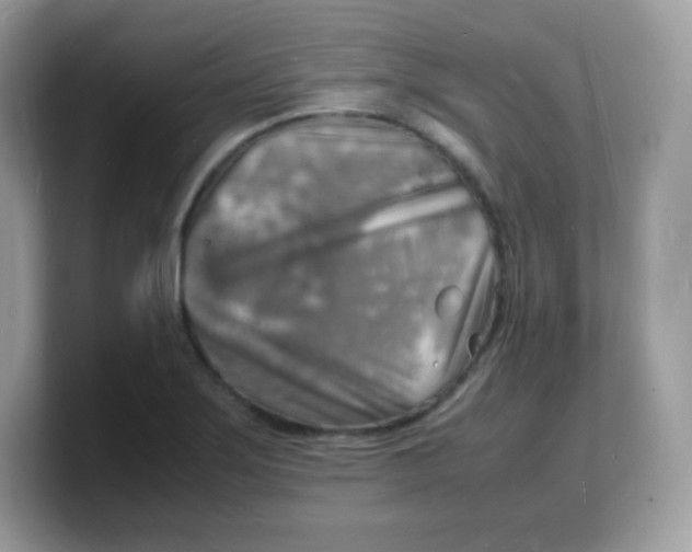X0000103251275200809181557