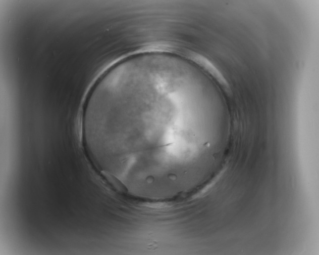 X0000103251276200809181557