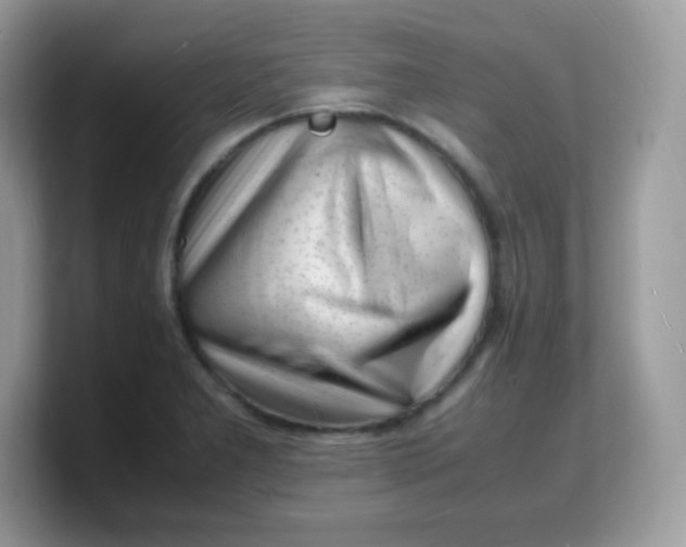 X0000103251277200809181557