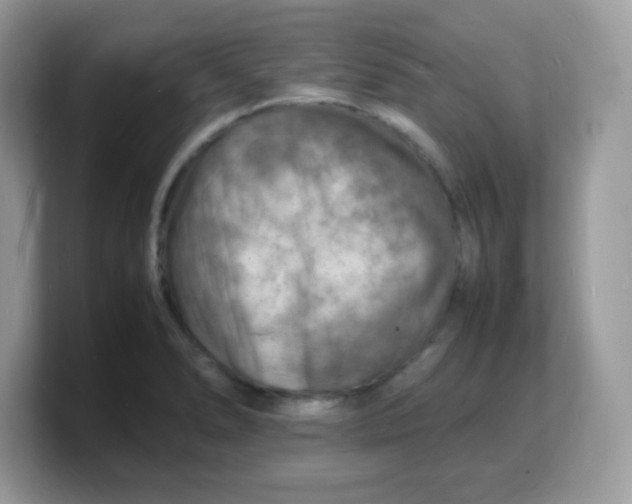 X0000103251278200809181557