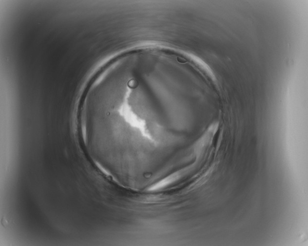 X0000103251279200809181557