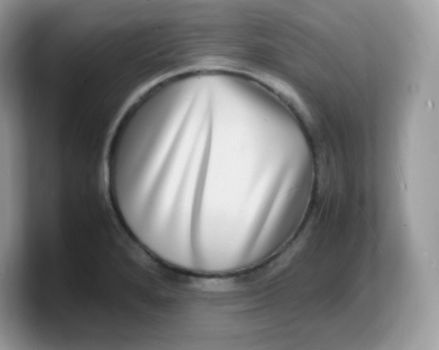 X0000103251280200809181557