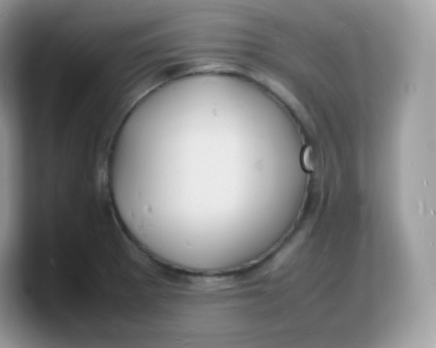 X0000103251281200809181557