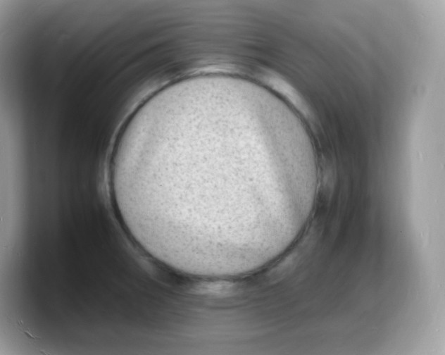 X0000103251282200809181557