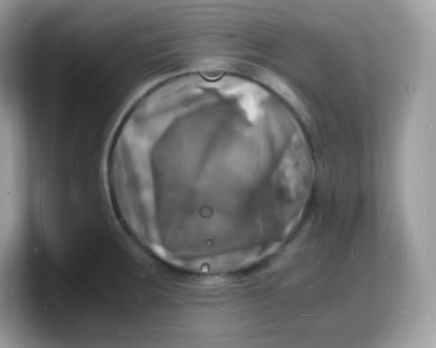 X0000103251283200809181557