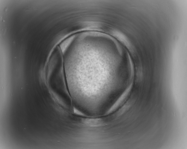 X0000103251284200809181557