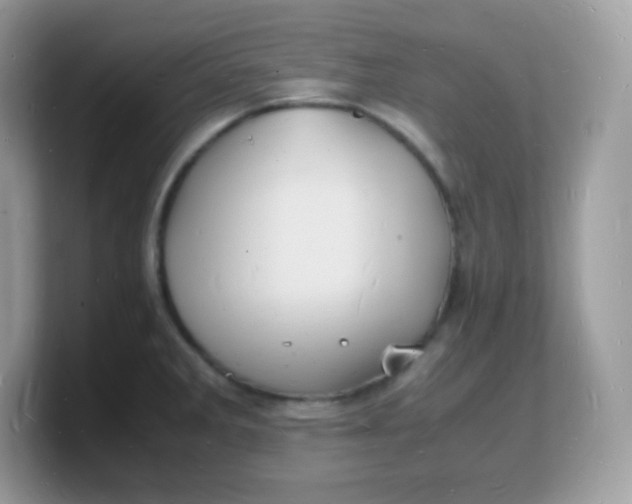 X0000103251285200809181557