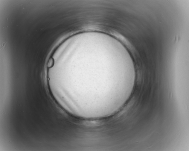 X0000103251286200809181557