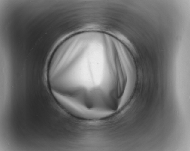 X0000103251288200809181556