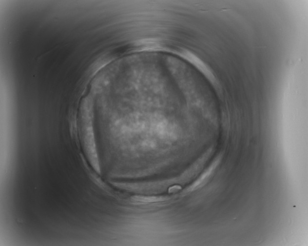 X0000103251289200809181556
