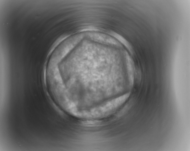 X0000103251290200809181556