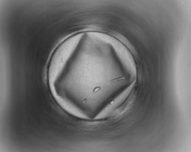 X0000103251292200809181556