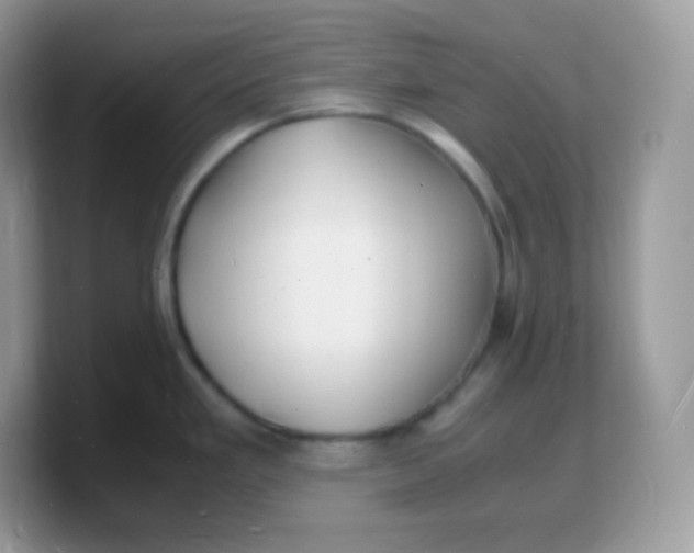 X0000103251293200809181556