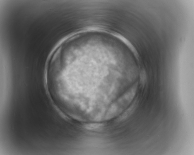 X0000103251294200809181556