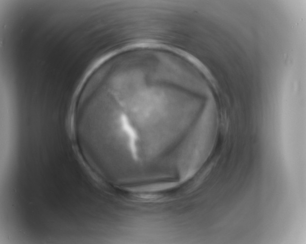 X0000103251295200809181556