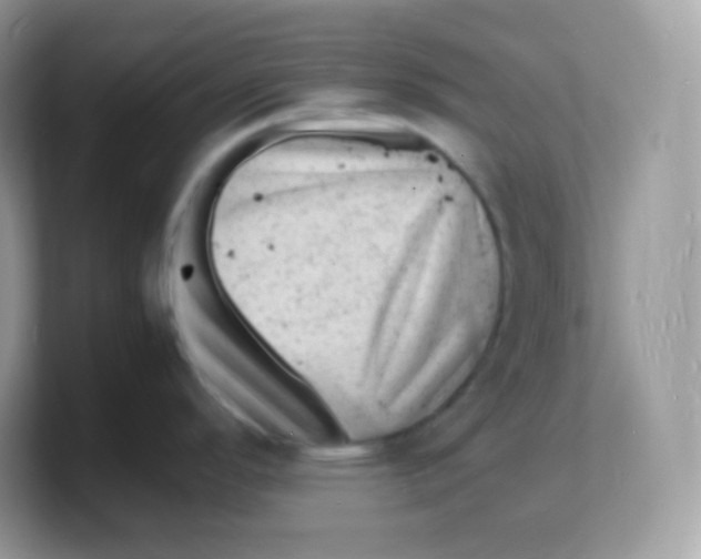 X0000103251296200809181556