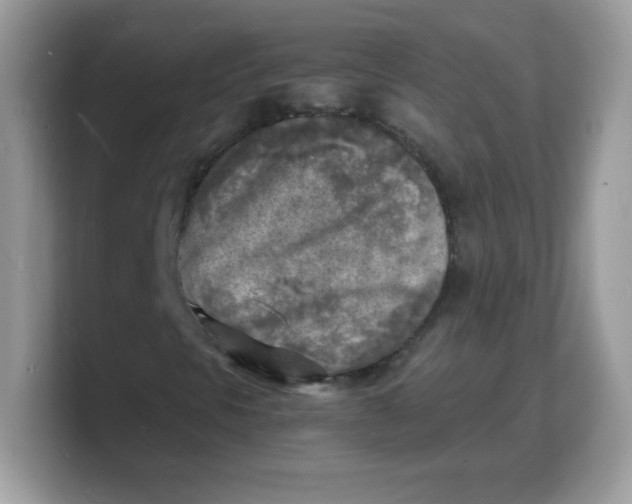 X0000103251297200809181556