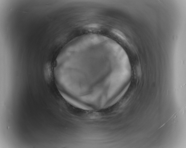 X0000103251298200809181556