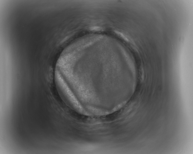 X0000103251301200809181556