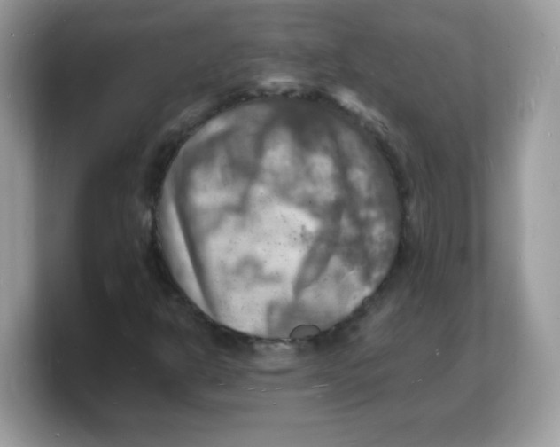 X0000103251302200809181556