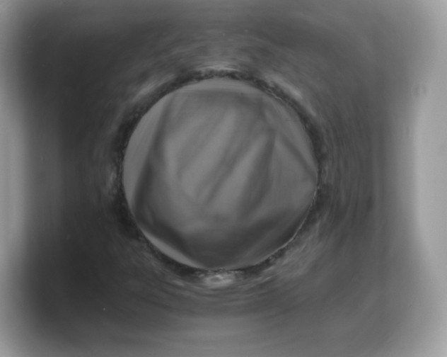 X0000103251303200809181556