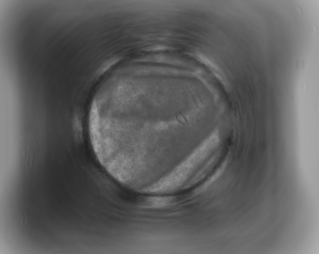 X0000103251305200809181556