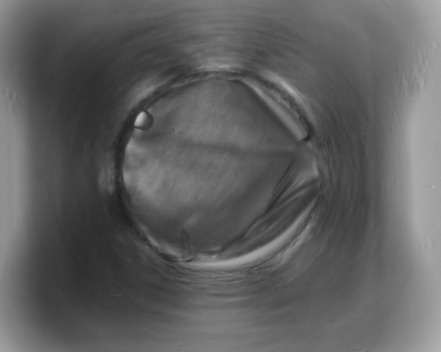 X0000103251306200809181556