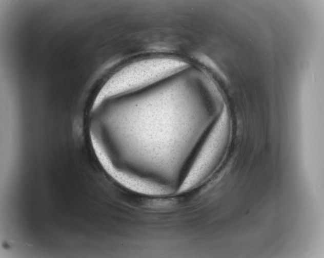 X0000103251307200809181556