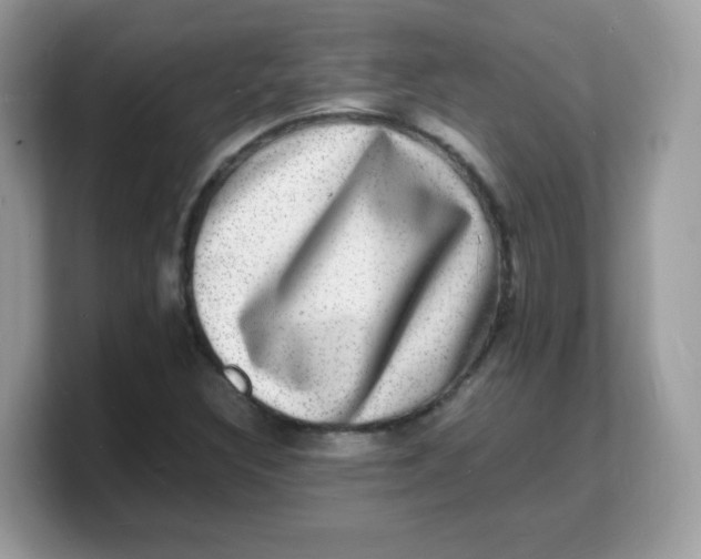 X0000103251308200809181556