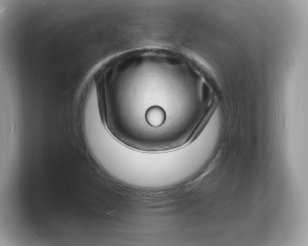 X0000103251310200809181556