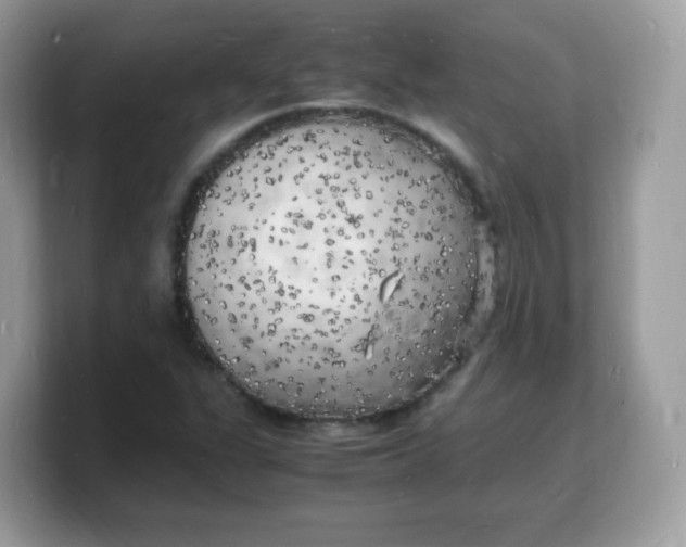 X0000103251311200809181556