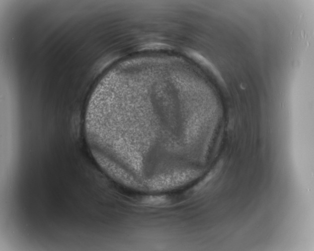 X0000103251313200809181556