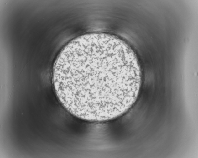 X0000103251314200809181556