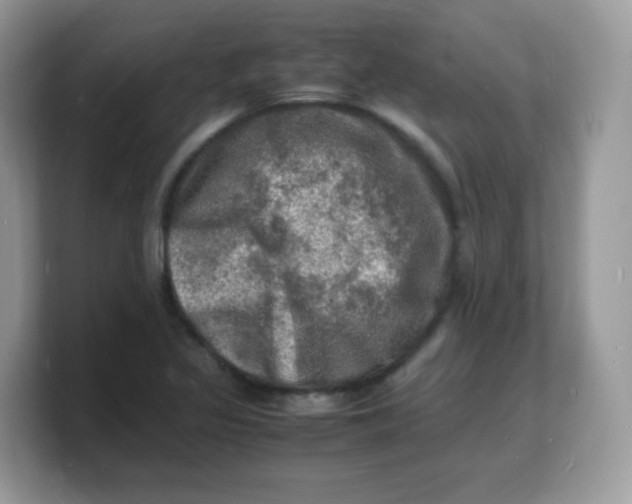 X0000103251317200809181556