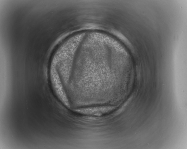 X0000103251318200809181556