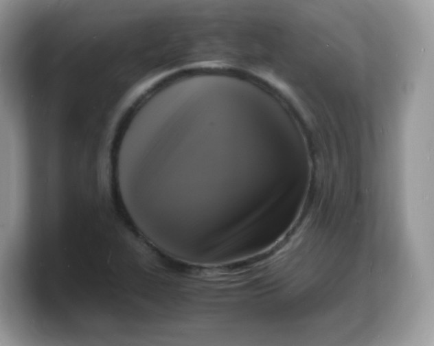X0000103251319200809181556
