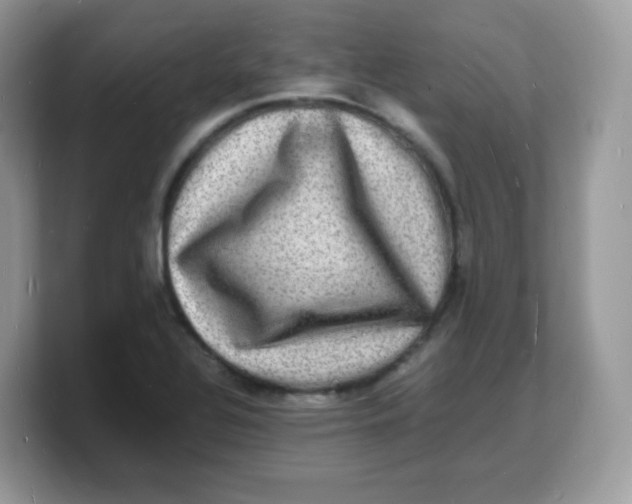 X0000103251320200809181556