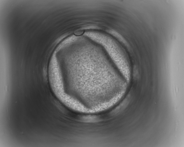 X0000103251321200809181556