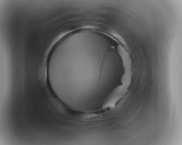 X0000103251323200809181556