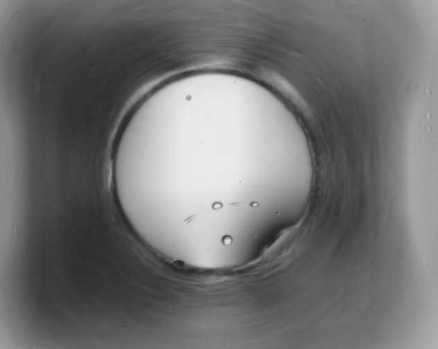 X0000103251324200809181556