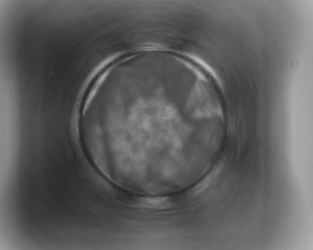 X0000103251325200809181556