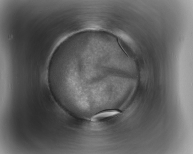 X0000103251326200809181556