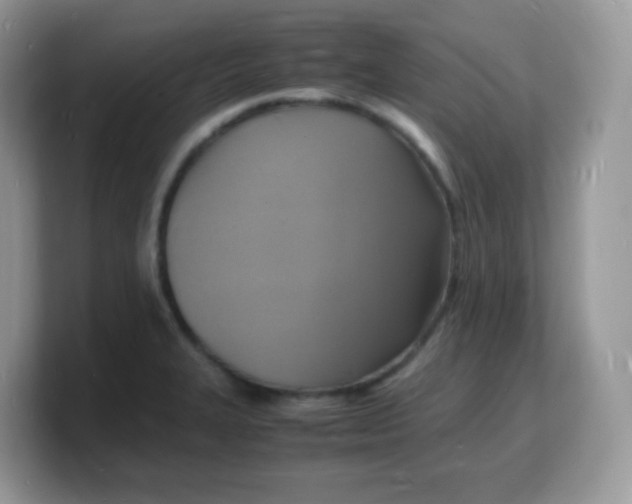 X0000103251327200809181556