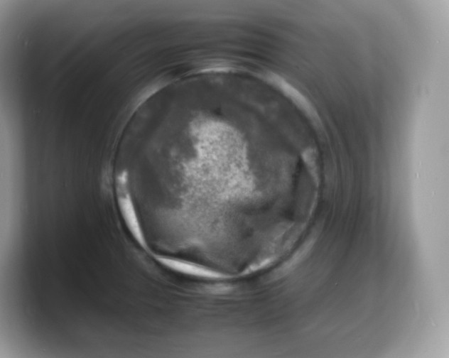 X0000103251329200809181556