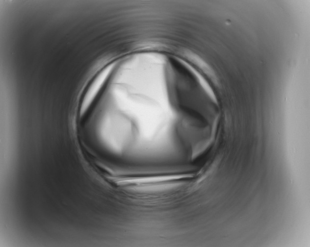 X0000103251330200809181556