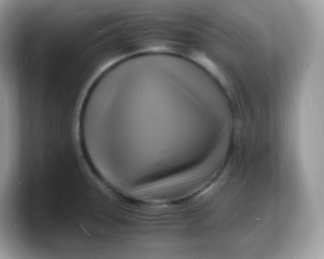X0000103251331200809181556