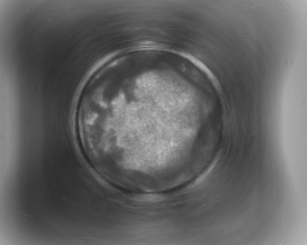 X0000103251333200809181556