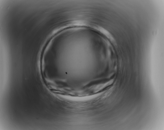 X0000103251334200809181556