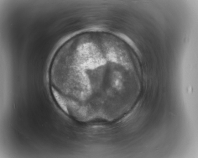 X0000103251335200809181556